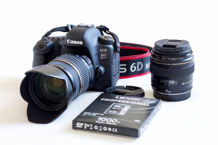 6D