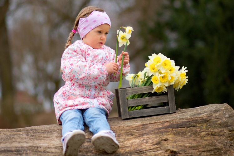 Narcisky